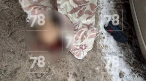 В Петербурге на улице Жени Егоровой нашли тело мужчины без головы