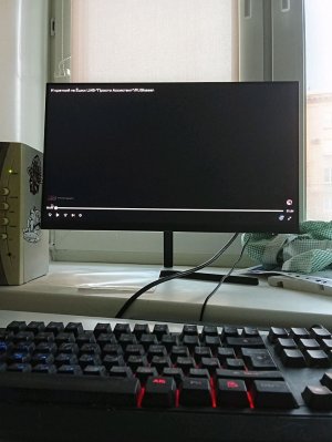 смотрю вилли