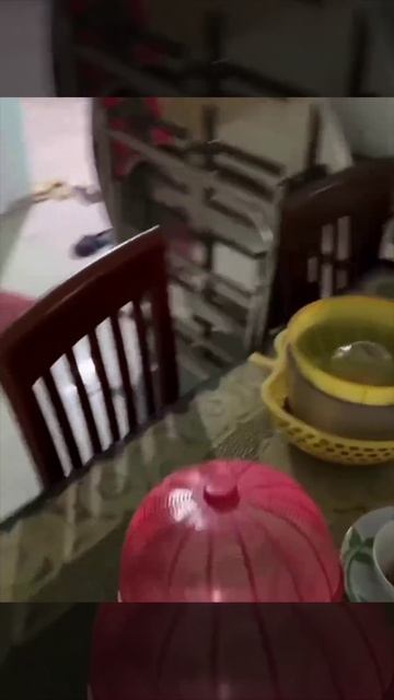 Да я просто мимо проходил смотреть онлайн