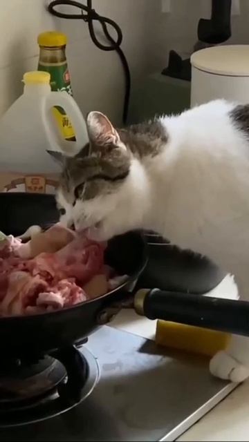 Пробую на соль смотреть онлайн