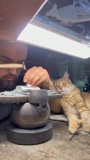 Видео для разгрузки психики смотреть онлайн