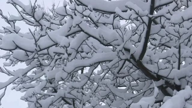 Вот и к нам пришла зима! ❄️❄️❄️ смотреть онлайн