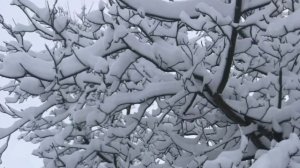 Вот и к нам пришла зима! ❄️❄️❄️