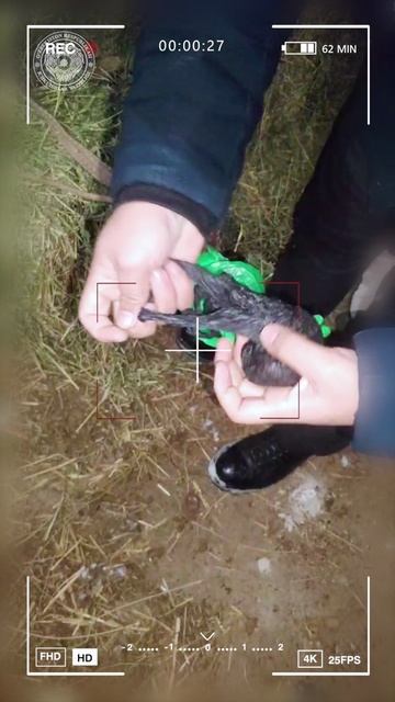 Xonadonida ko‘p miqdorda giyohvand modda saqlagan shaxs qo‘lga tushdi смотреть онлайн