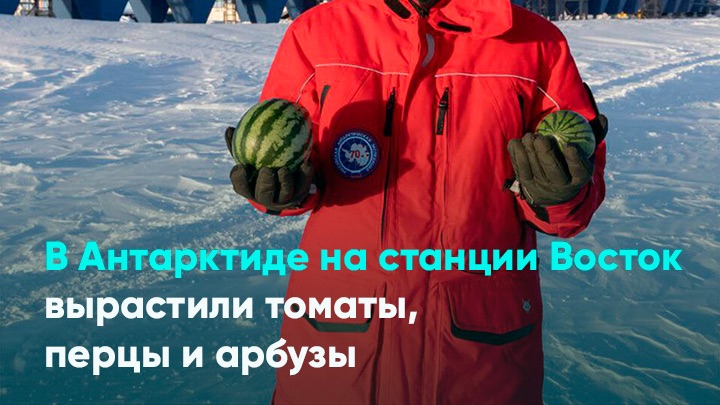 В Антарктиде на станции Восток вырастили томаты, перцы и арбузы смотреть онлайн