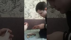 новый участник?