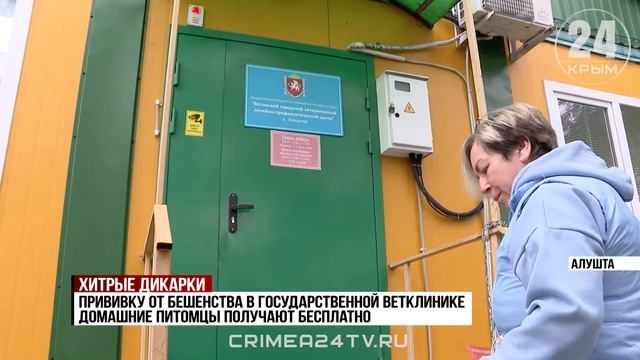 Число лис в Ялтинском горно-лесном заповеднике за последний год увеличилось вдвое смотреть онлайн