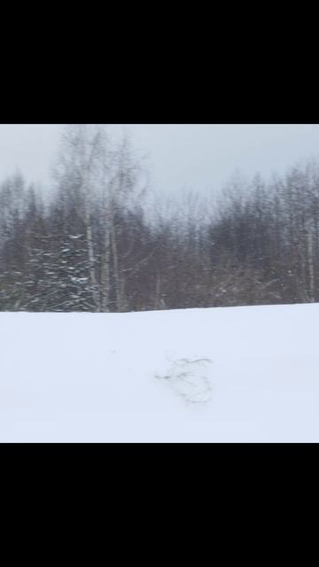 Покатушки в поле - буксировщики Лидер 3 и Сигма 3 на новой раме. Полное видео - в канале смотреть онлайн