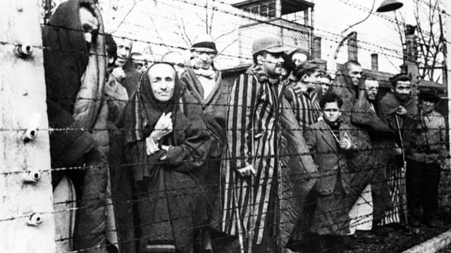 81 год назад - Советские войска освободили узников Освенцима смотреть онлайн