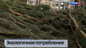 «Ёлочный круговорот»