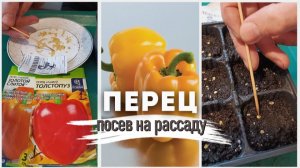 Дачные хлопоты у Михалыча