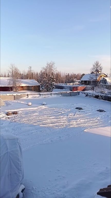 Забава. #борьба #мороз #туруханск смотреть онлайн