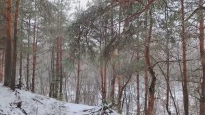 Есть ли справедливость?