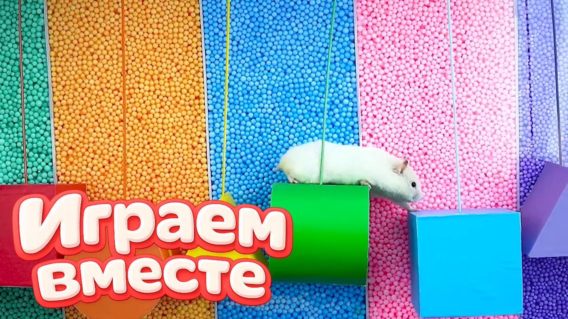 НОВЫЙ ОПАСНЫЙ ЛАБИРИНТ ДЛЯ ХРАБРОГО И УМНОГО ХОМЯКА 🐹 ВИДЕО ДЛЯ ДЕТЕЙ ! ЧАСТЬ 11 смотреть онлайн