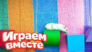 НОВЫЙ ОПАСНЫЙ ЛАБИРИНТ ДЛЯ ХРАБРОГО И УМНОГО ХОМЯКА 🐹 ВИДЕО ДЛЯ ДЕТЕЙ ! ЧАСТЬ 11