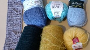 Подобрали с дочерью пряжу ей на кардиганы и джемпера. Нашла компаньона к Фиджи.