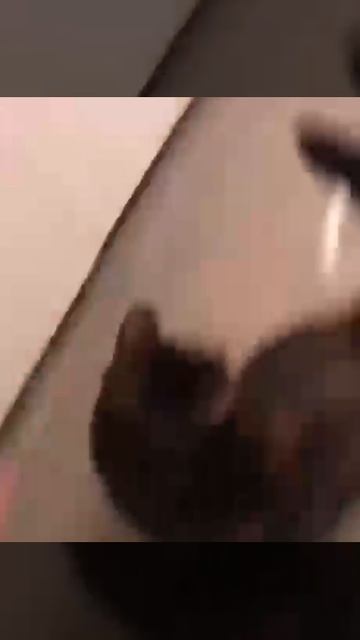 Карусельная ловушка смотреть онлайн