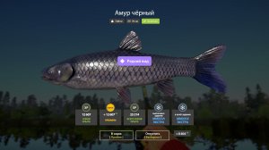 Русская Рыбалка 4-Новогодние Экстра Задания 2026: Амур редкий вид оз. Медвежье
