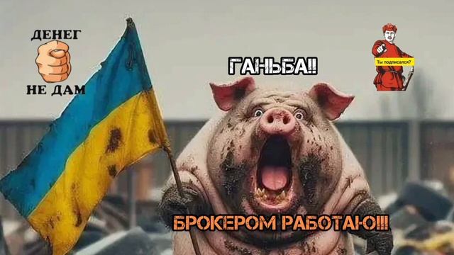СВИНОБРОКЕР ПОЗВОНИЛ,ОЧЕНЬ СИЛЬНО УДИВИЛ. БЕЗ ВОПРОСОВ РЕКТОР МГУ ЛОМОНОСОВ!!! смотреть онлайн