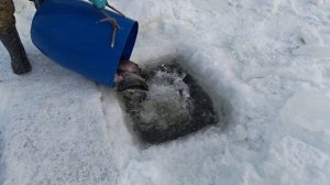 запуск 26 января 50 кг.