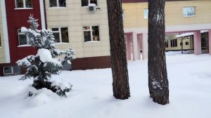 Прогуляемся по территории санатория.