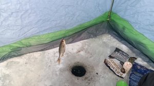 Рыбалка на плотва в дикий мороз