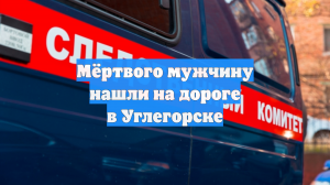 Мёртвого мужчину нашли на дороге в Углегорске