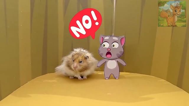 Хомячки и Молния Маккуин попадают в ловушку, и их друзья приходят на помощь! смотреть онлайн