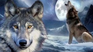 СИЛА ВОЛЧИЦЫ УСИЛИВАЕТ ЗАЩИТУ. ПРОСТО СЛУШАТЬ ИЛИ ЧИТАТЬ