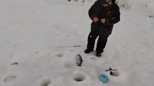 26.01.26 г. РК Волна. смотреть онлайн