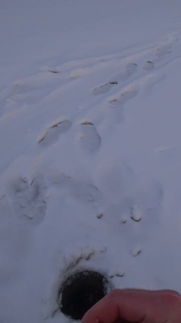 Щука ОЗВЕРЕЛА! ШОК КОНТЕНТ! Зимняя рыбалка на жерлицы смотреть онлайн