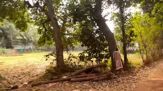 Мы Обалдели! Огромный Поднос Крабов! И Другие Морепродукты. Гоа. Арамболь. смотреть онлайн