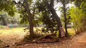 Мы Обалдели! Огромный Поднос Крабов! И Другие Морепродукты. Гоа. Арамболь.