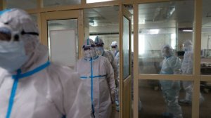 Вспышку нового суперопасного вируса зафиксировали в Индии