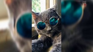 Доброе утречко! Желаю отличного понедельника! #доброеутро