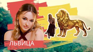 Львица / Фотосессия