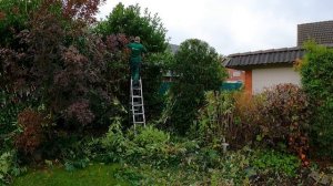 "Что здесь происходит? Вы ПОТОПТАЛИ мои ЦВЕТЫ", — пожаловалась соседка