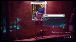 Stray: скуф играет за кота, а Бублик ревнует с дивана 😻😂