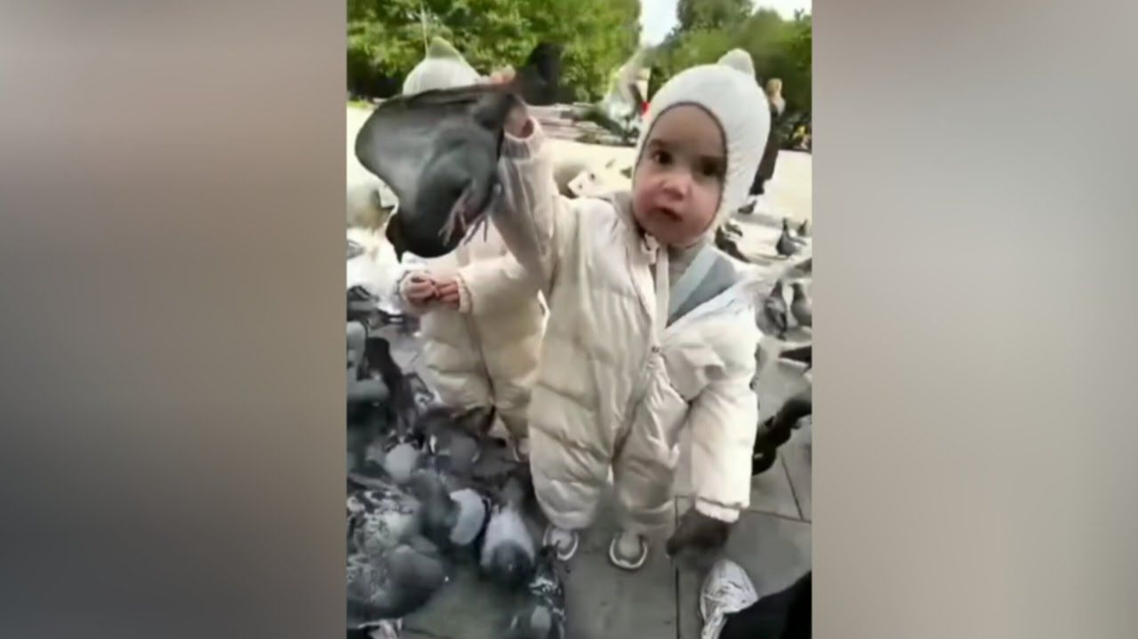 #смешныевидео -782 смотреть онлайн