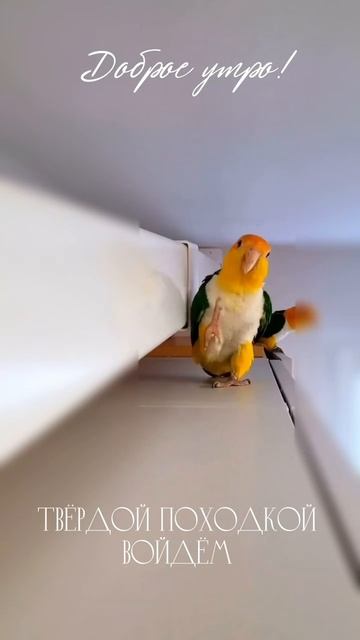 #понедельник смотреть онлайн