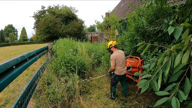 Хозяин НЕ ВЕРИЛ что этот заросший двор можно ВЕРНУТЬ К ЖИЗНИ