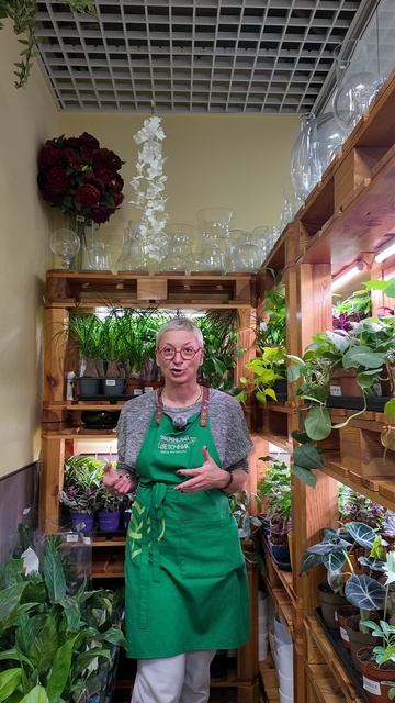 Самые жизнеспособные растения