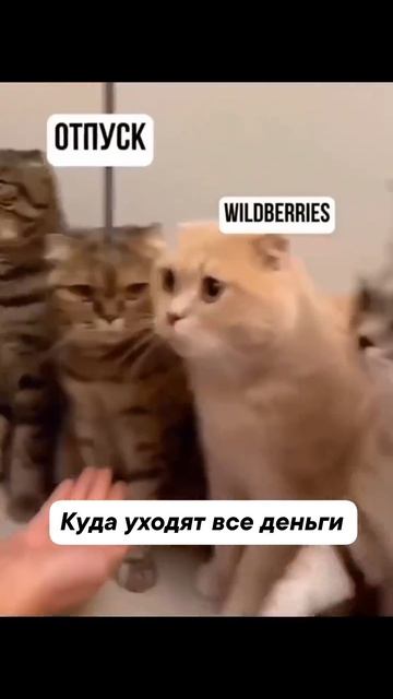 Жизнь всегда бьёт ниже пояса... 🤣 смотреть онлайн