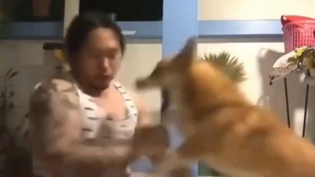 Играл и проиграл смотреть онлайн