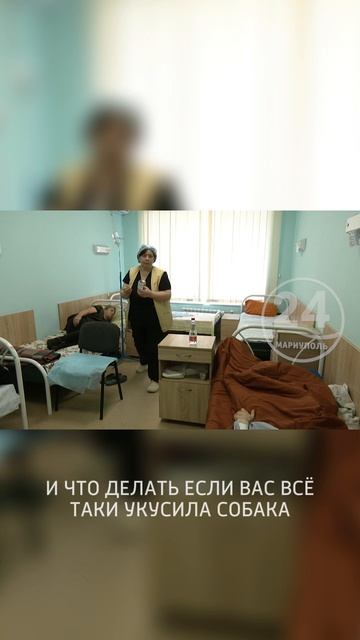 Анонс. Бродячие собаки смотреть онлайн