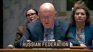 Выступление Постоянного представителя В.А.Небензи на заседании СБ ООН по Гаити