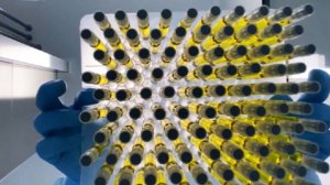 РБК: продажи российского аналога "Оземпика" выросли почти втрое в 2025 году