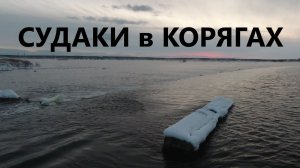 Судаки в Корягах!