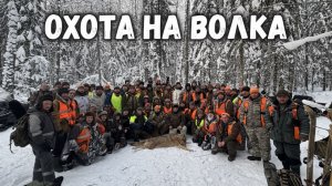 Охота на волка #4 \ Вологодский район