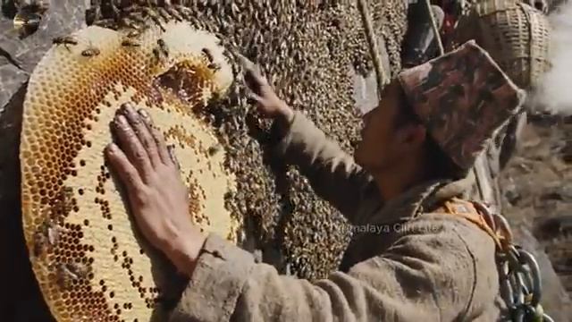 На непальском маршруте Медового спуска. смотреть онлайн